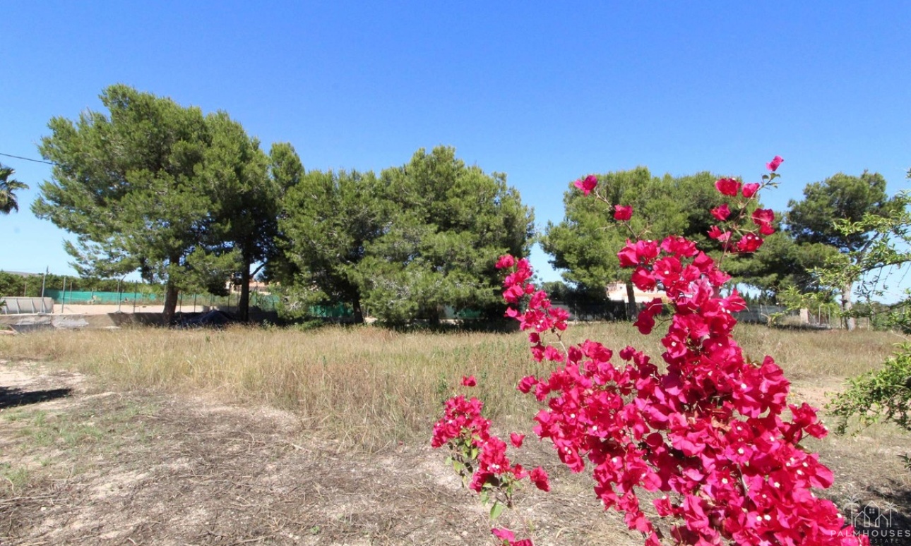 Resale - Villa - Elche - Elche Centro