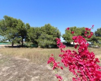 Resale - Villa - Elche - Elche Centro