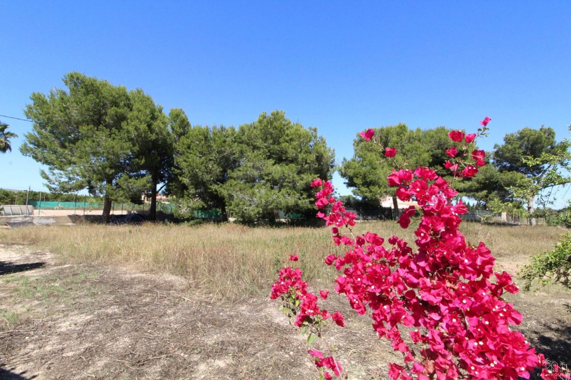 Resale - Villa - Elche - Elche Centro