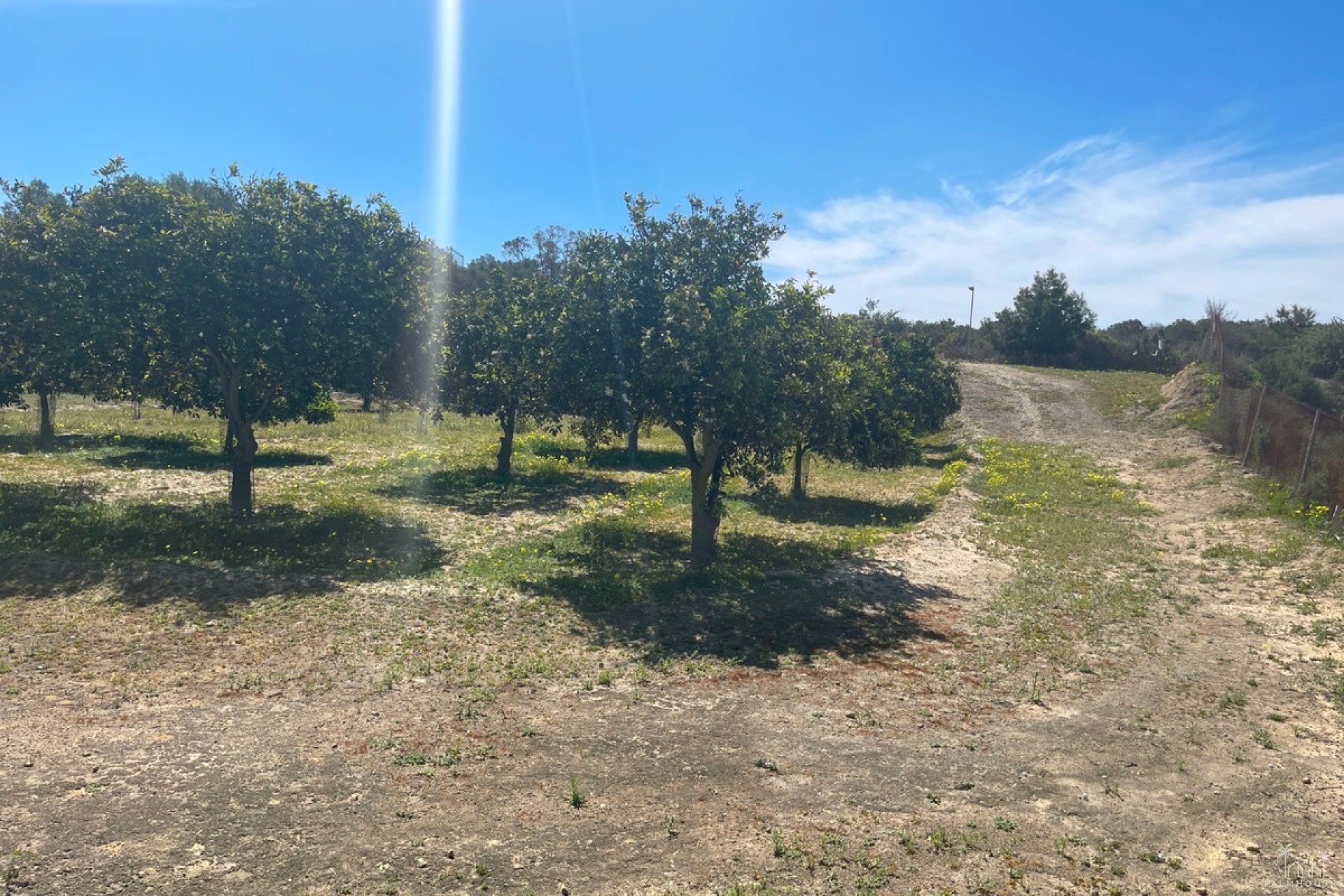 Resale - Villa - Guardamar del Segura - Guardamar del Segura Centro