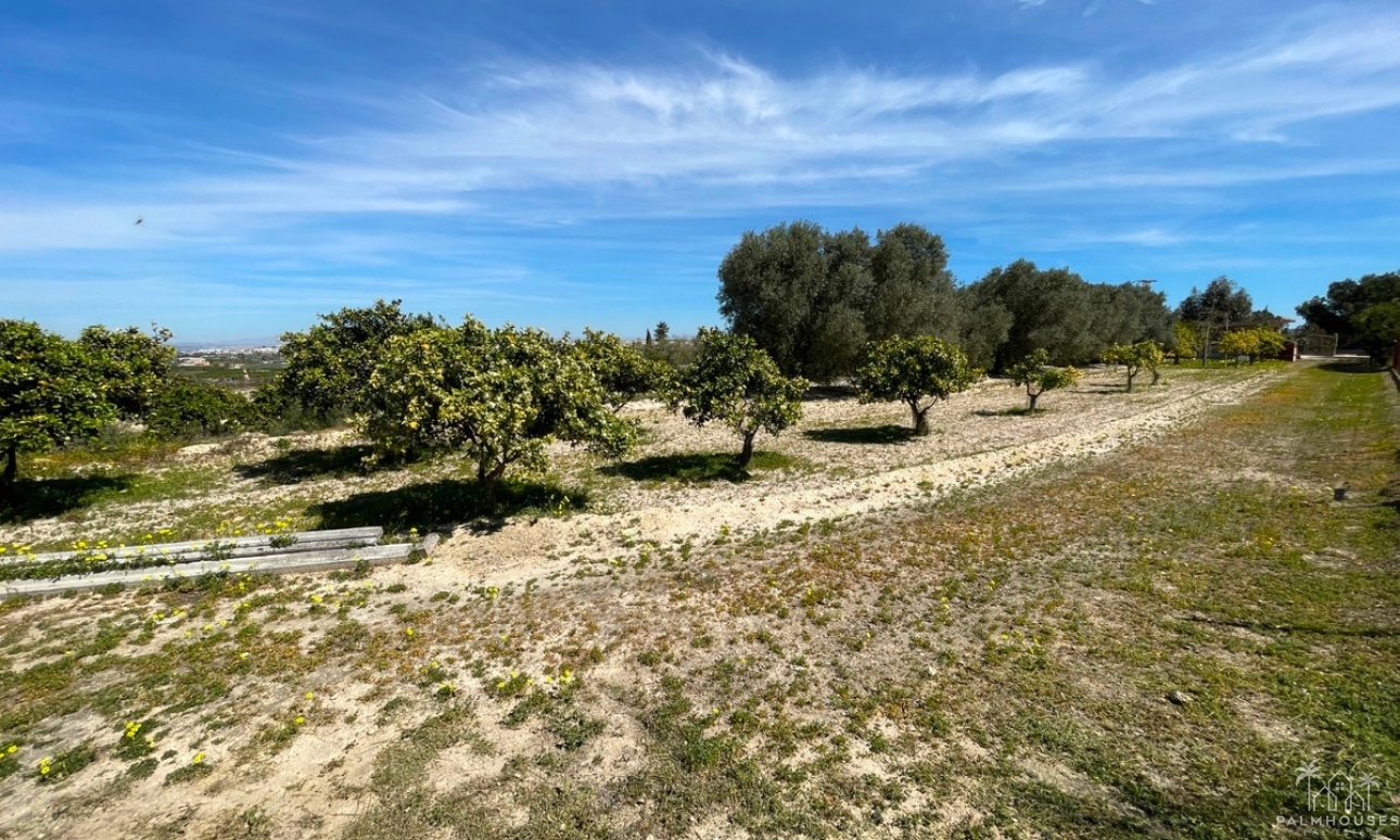 Resale - Villa - Guardamar del Segura - Guardamar del Segura Centro