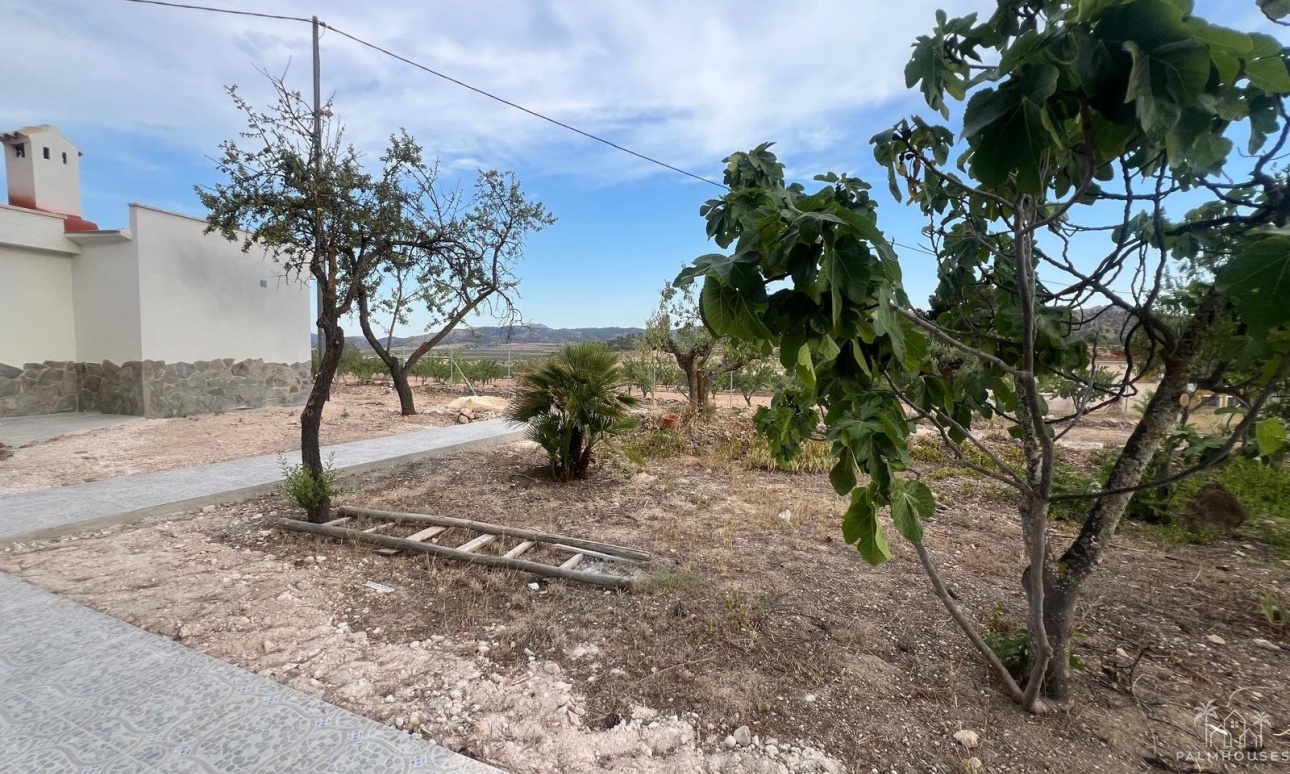 Resale - Villa - La Solana