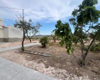 Resale - Villa - La Solana