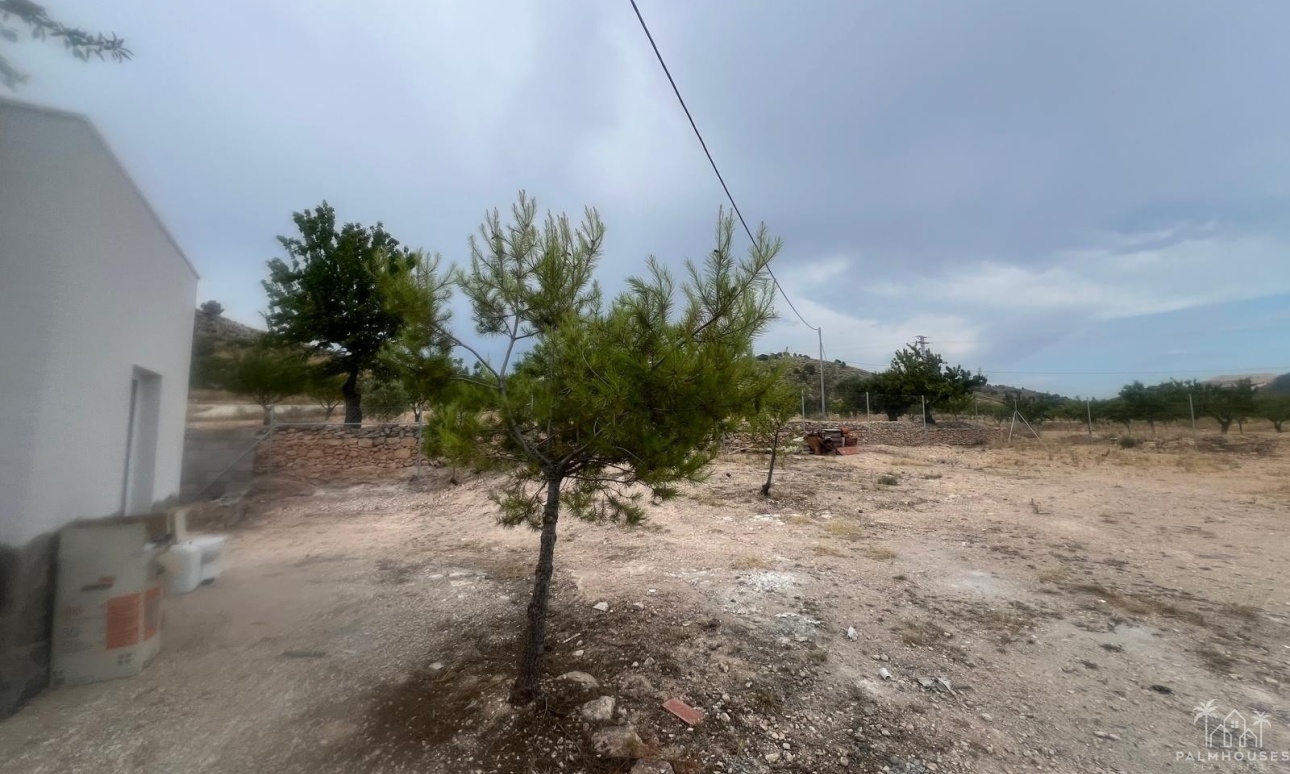 Resale - Villa - La Solana