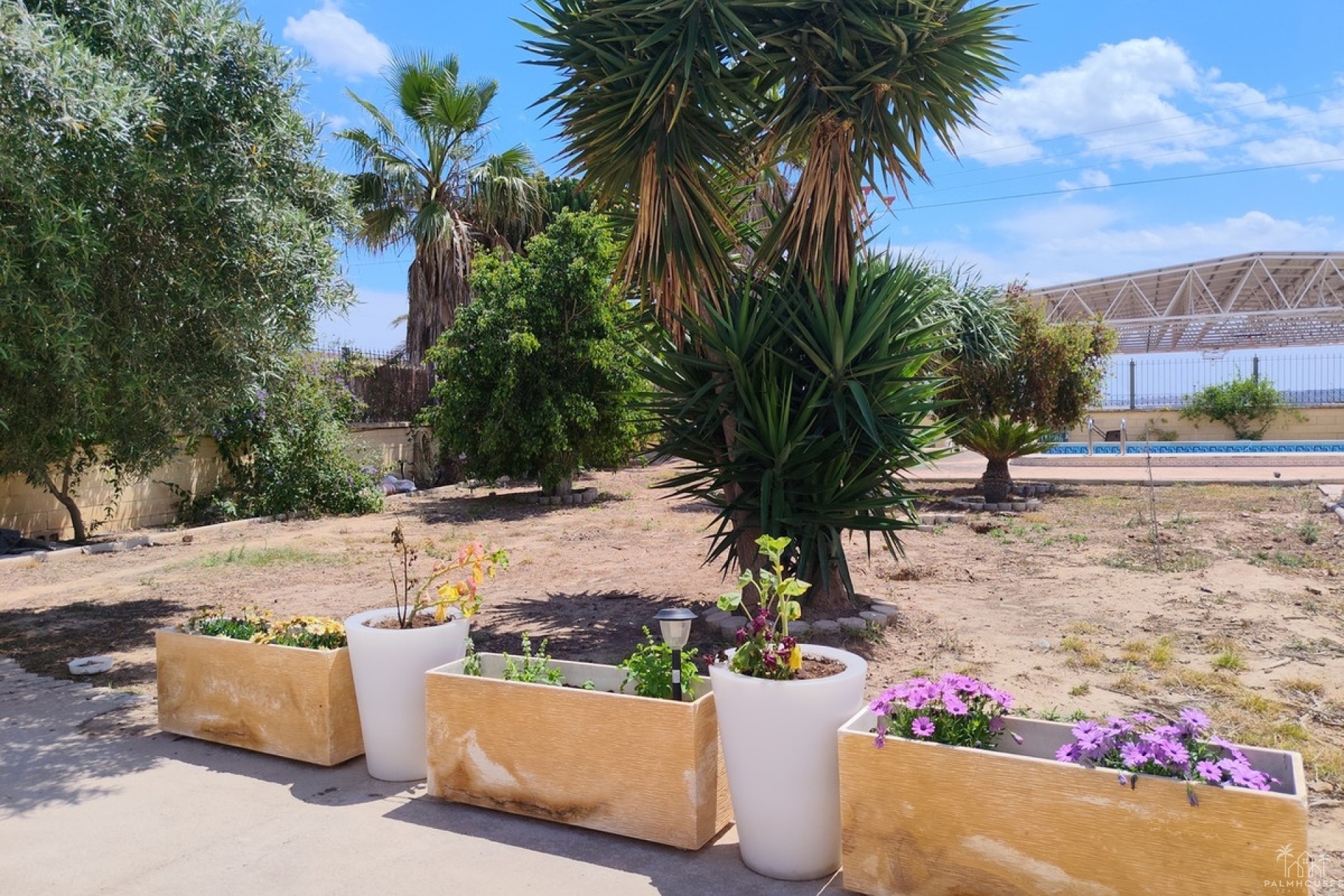 Resale - Villa - Los Montesinos - Los Montesinos Centro