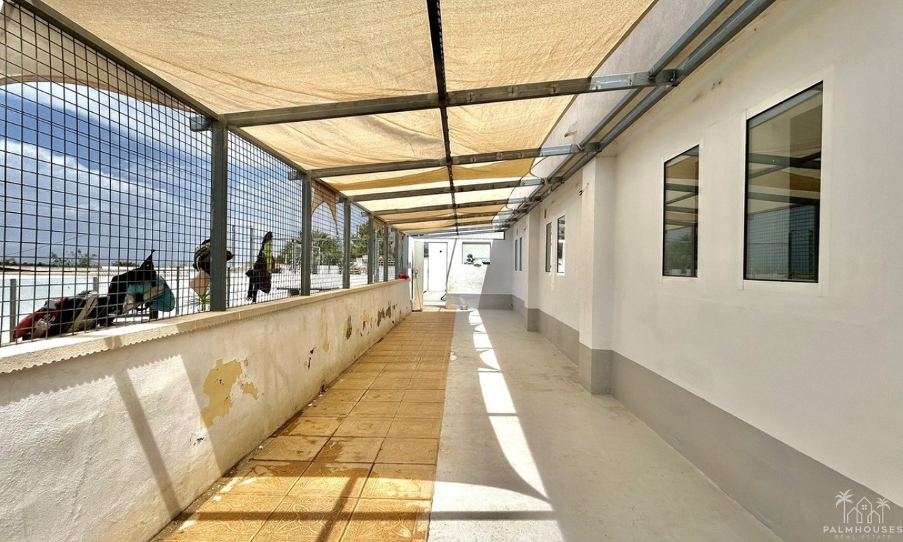 Resale - Villa - Los Montesinos - Los Montesinos Centro