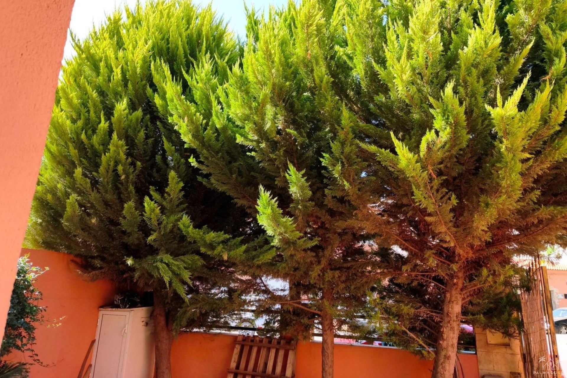 Resale - Villa - Mazarron - Mazarrón Centro