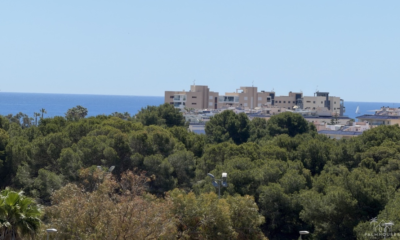 Resale - Villa - Mil Palmeras