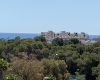 Resale - Villa - Mil Palmeras
