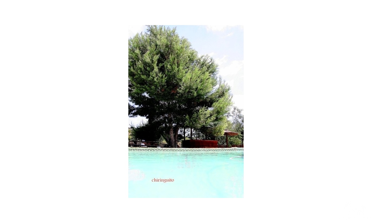 Resale - Villa - Murcia - Inland