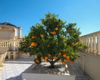 Resale - Villa - Orihuela Costa