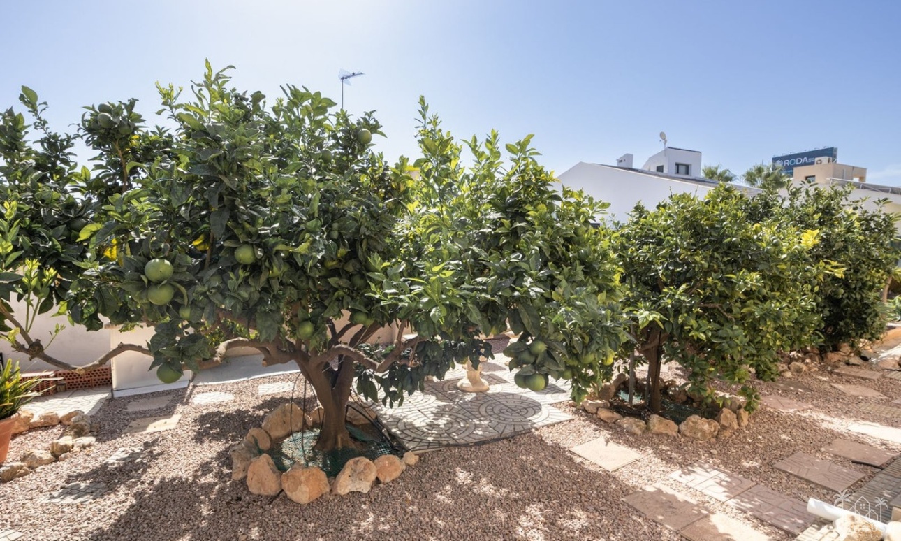 Resale - Villa - Orihuela - La Regia