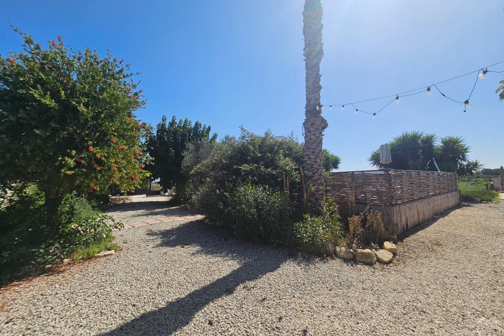 Resale - Villa - Orihuela - Molins-campaneta-san Bartolomé