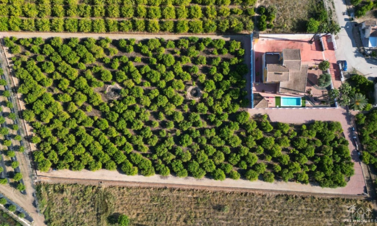 Resale - Villa - Orihuela - Orihuela Centro