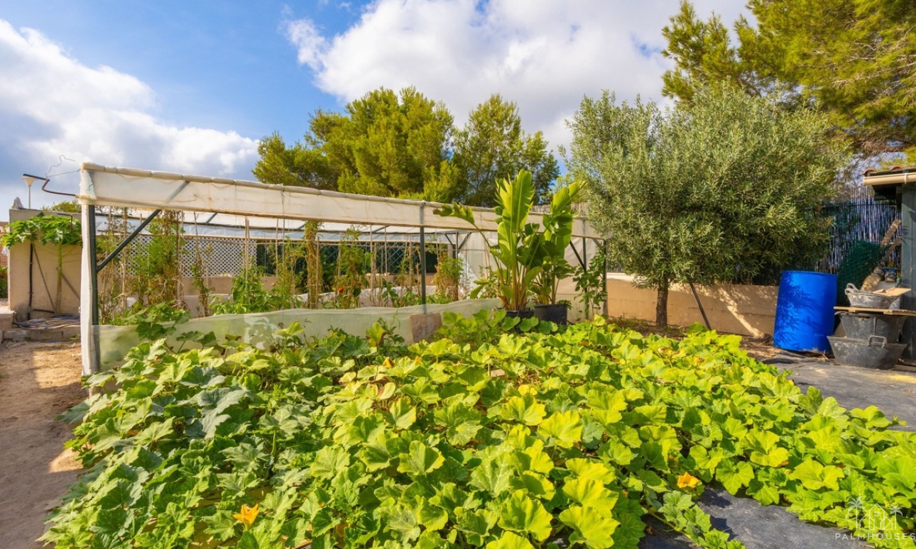 Resale - Villa - Orihuela - Villamartin