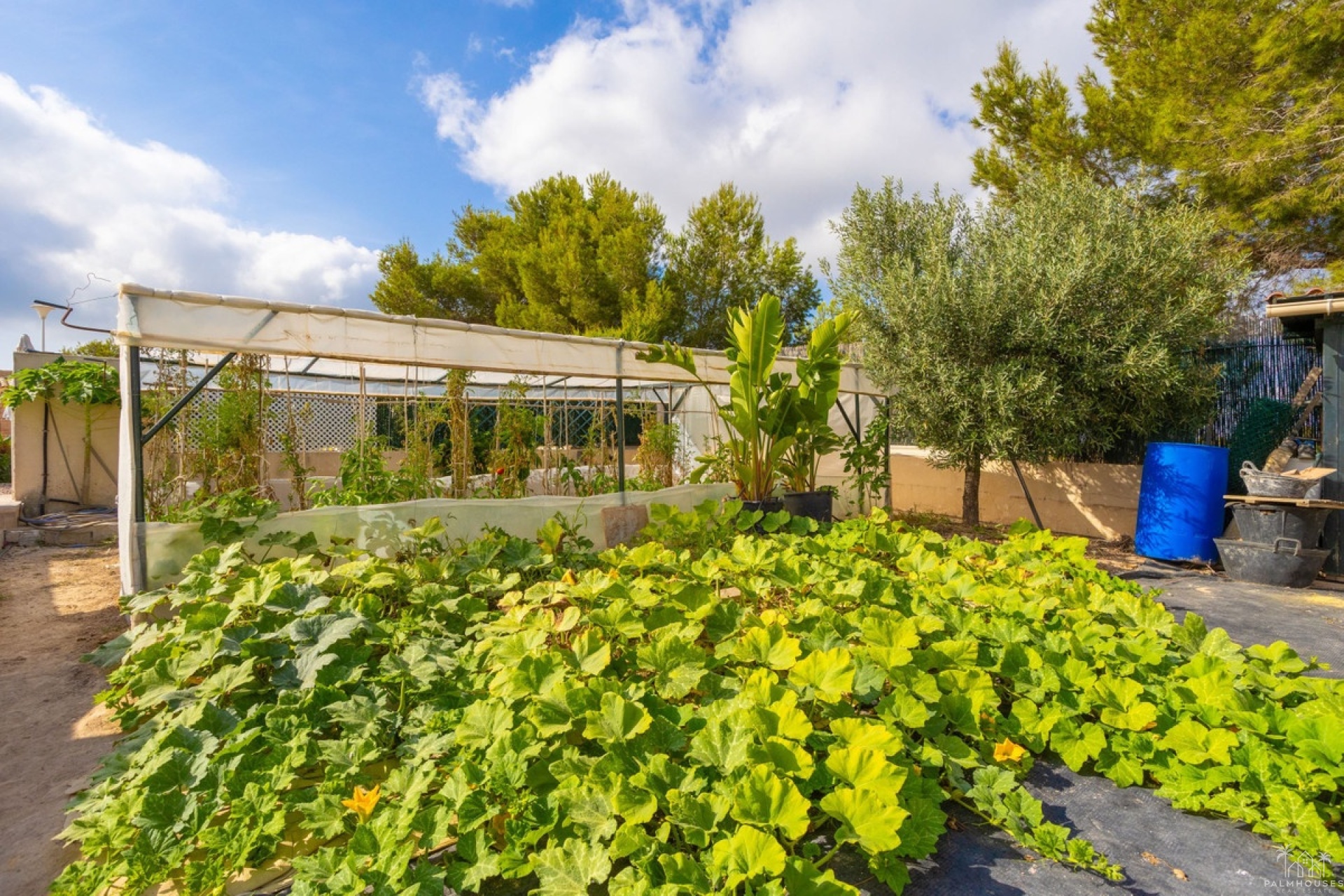Resale - Villa - Orihuela - Villamartin