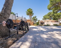 Resale - Villa - Pilar de La Horadada - Pilar de la Horadada Centro