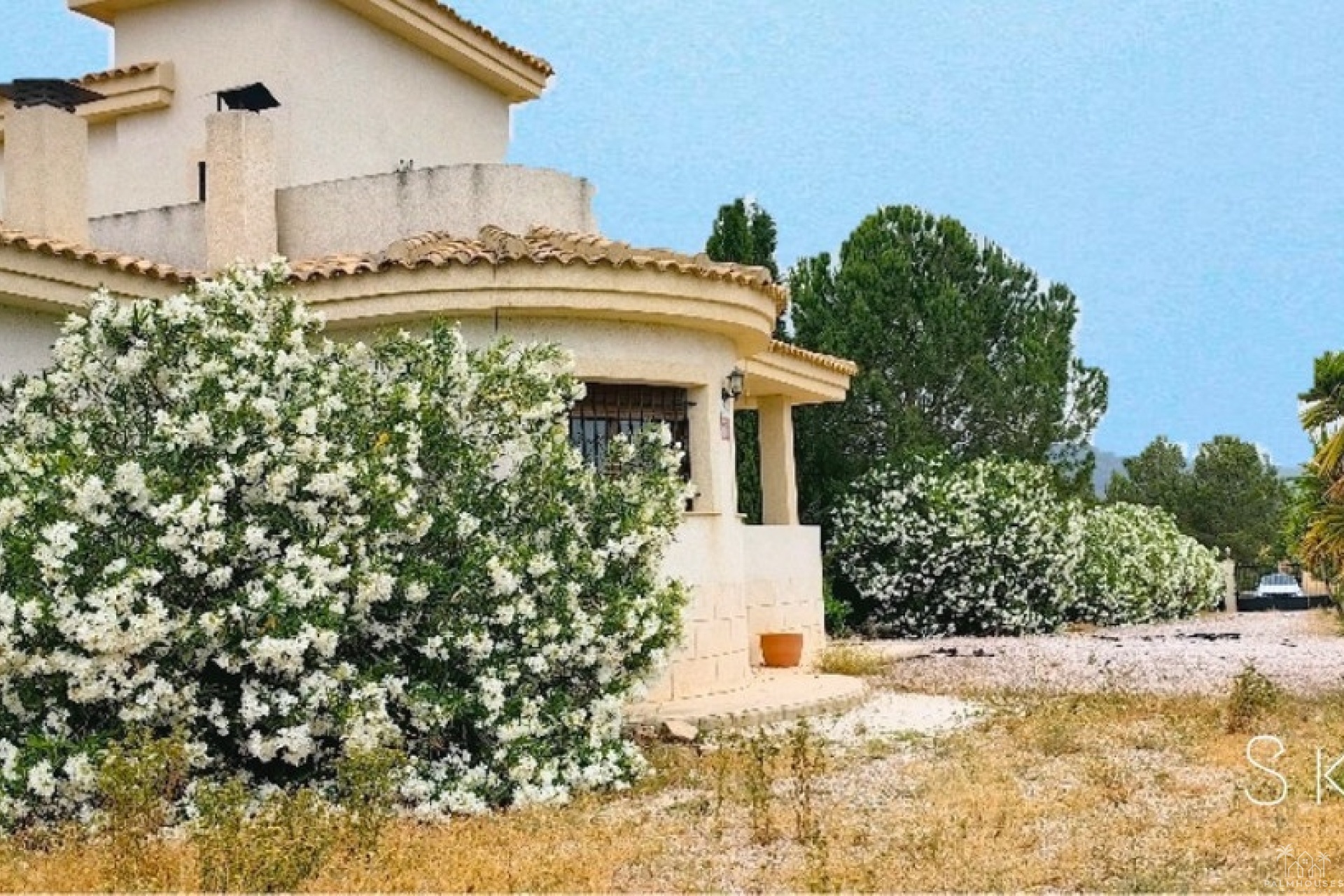 Resale - Villa - Pinoso - Pinoso Centro