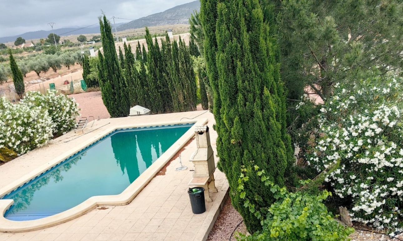 Resale - Villa - Pinoso - Pinoso Centro