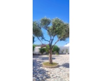 Resale - Villa - Rojales - Ciudad Quesada