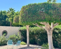 Resale - Villa - Rojales - Ciudad Quesada