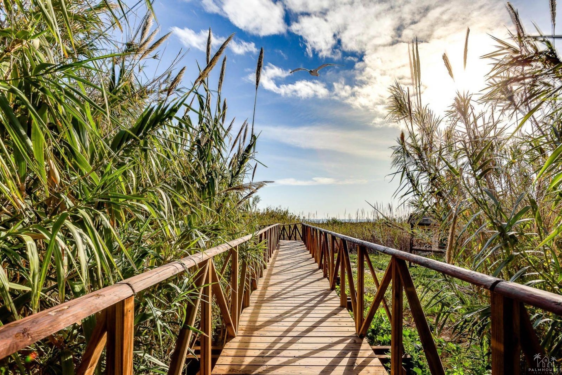 Resale - Villa - San Fulgencio - La Marina