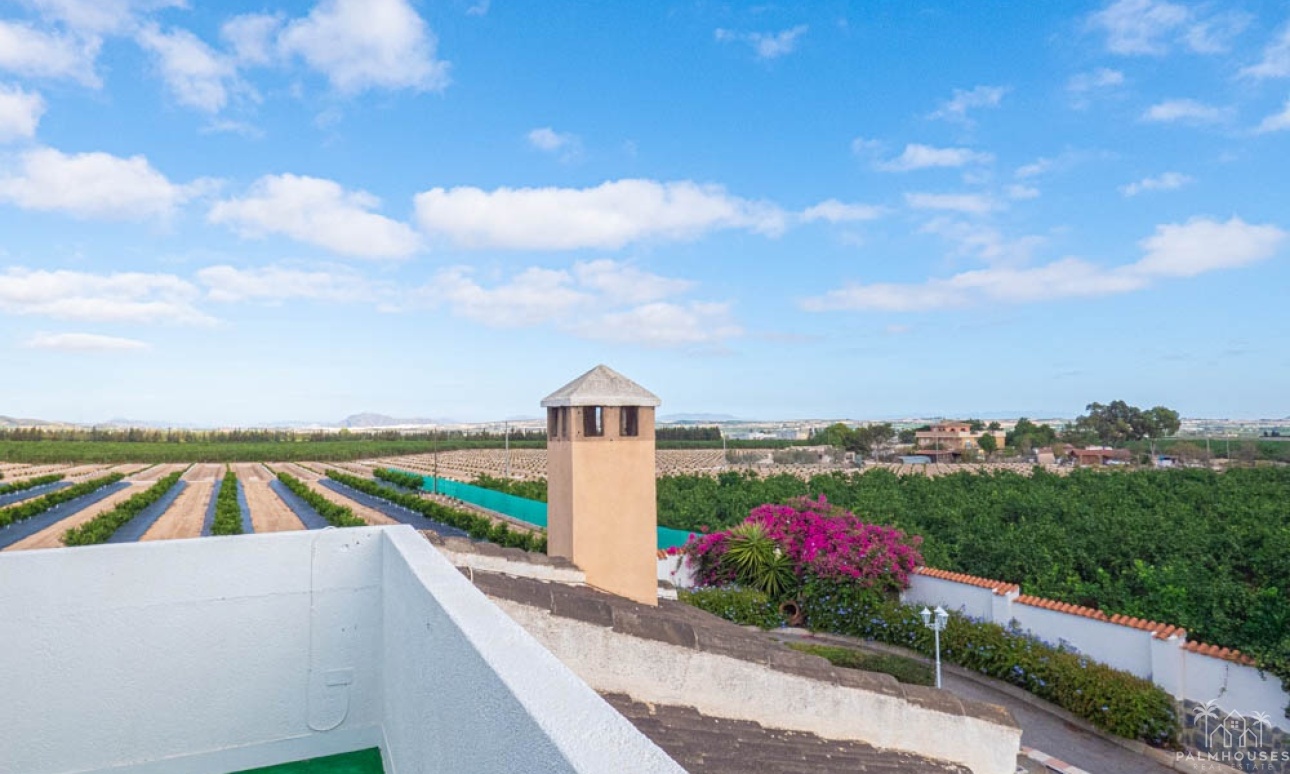 Resale - Villa - San Miguel de Salinas - Inland