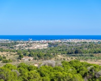 Resale - Villa - San Miguel de Salinas - San Miguel