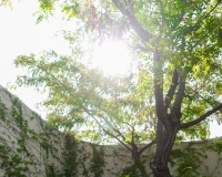 Resale - Villa - San Vicente del Raspeig - Inland