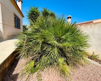 Resale - Villa - Torrevieja - Costa Blanca