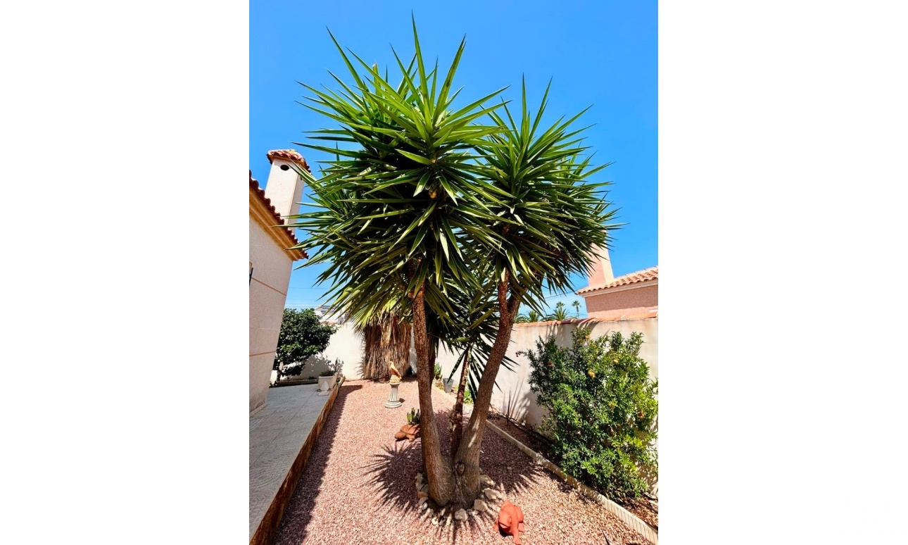 Resale - Villa - Torrevieja - Costa Blanca