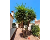 Resale - Villa - Torrevieja - Costa Blanca
