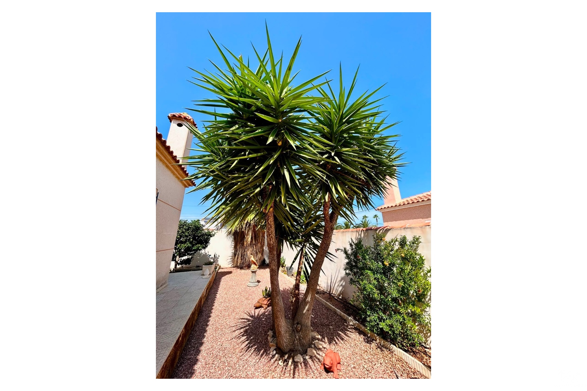 Resale - Villa - Torrevieja - Costa Blanca