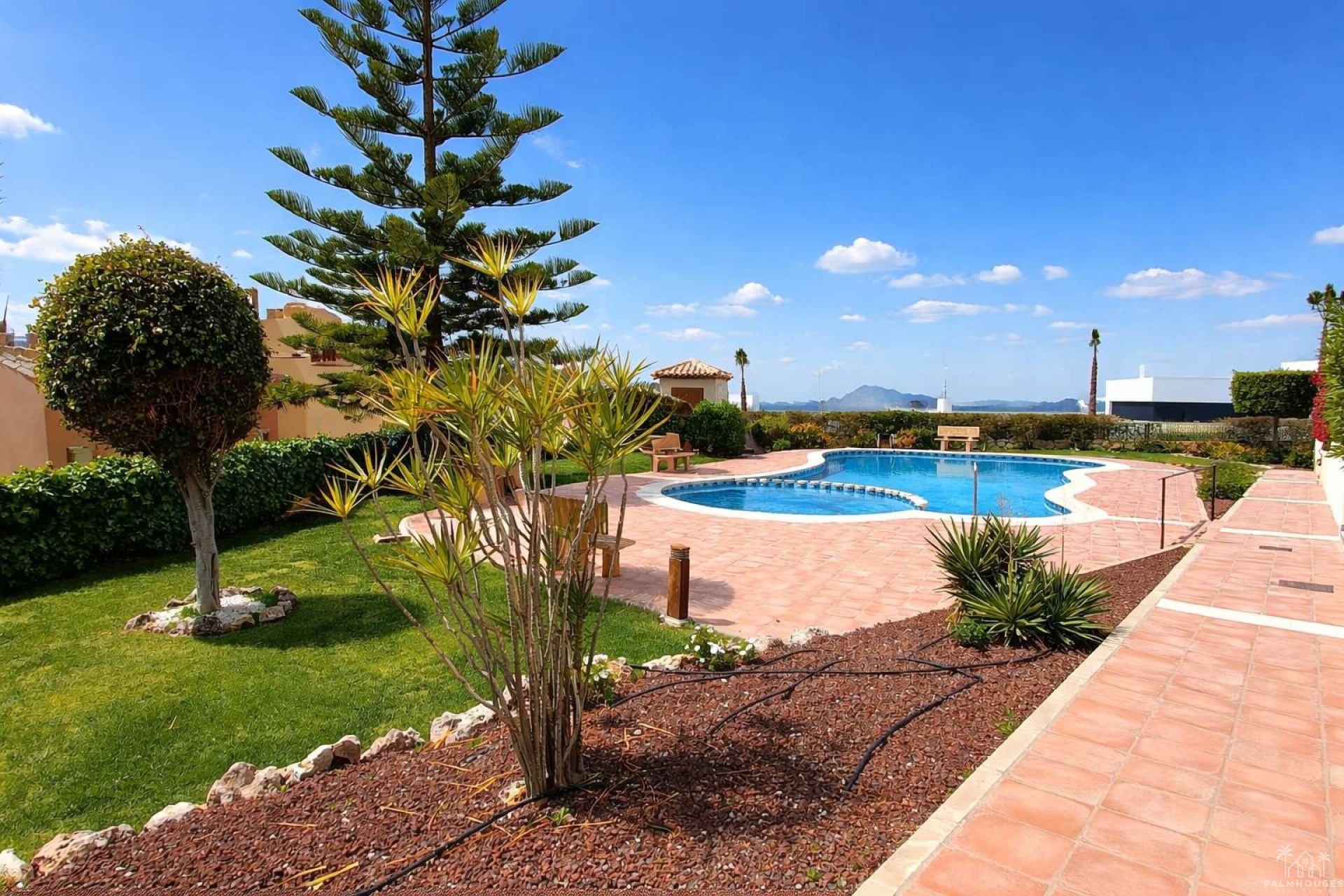 Revente - Apartment - Algorfa - Inland