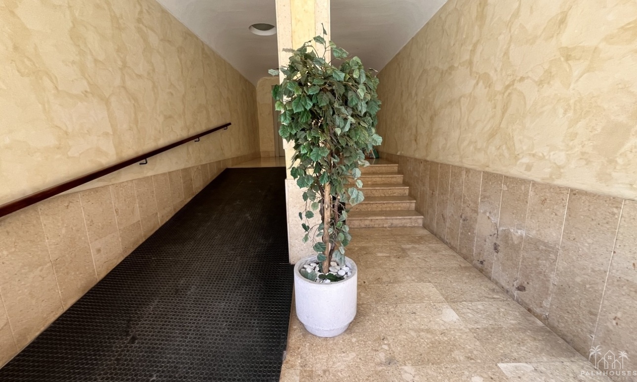 Revente - Apartment - Almoradi - Inland