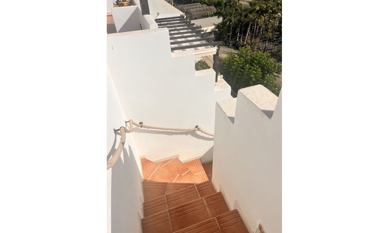 Revente - Apartment - Bel Air - Inland
