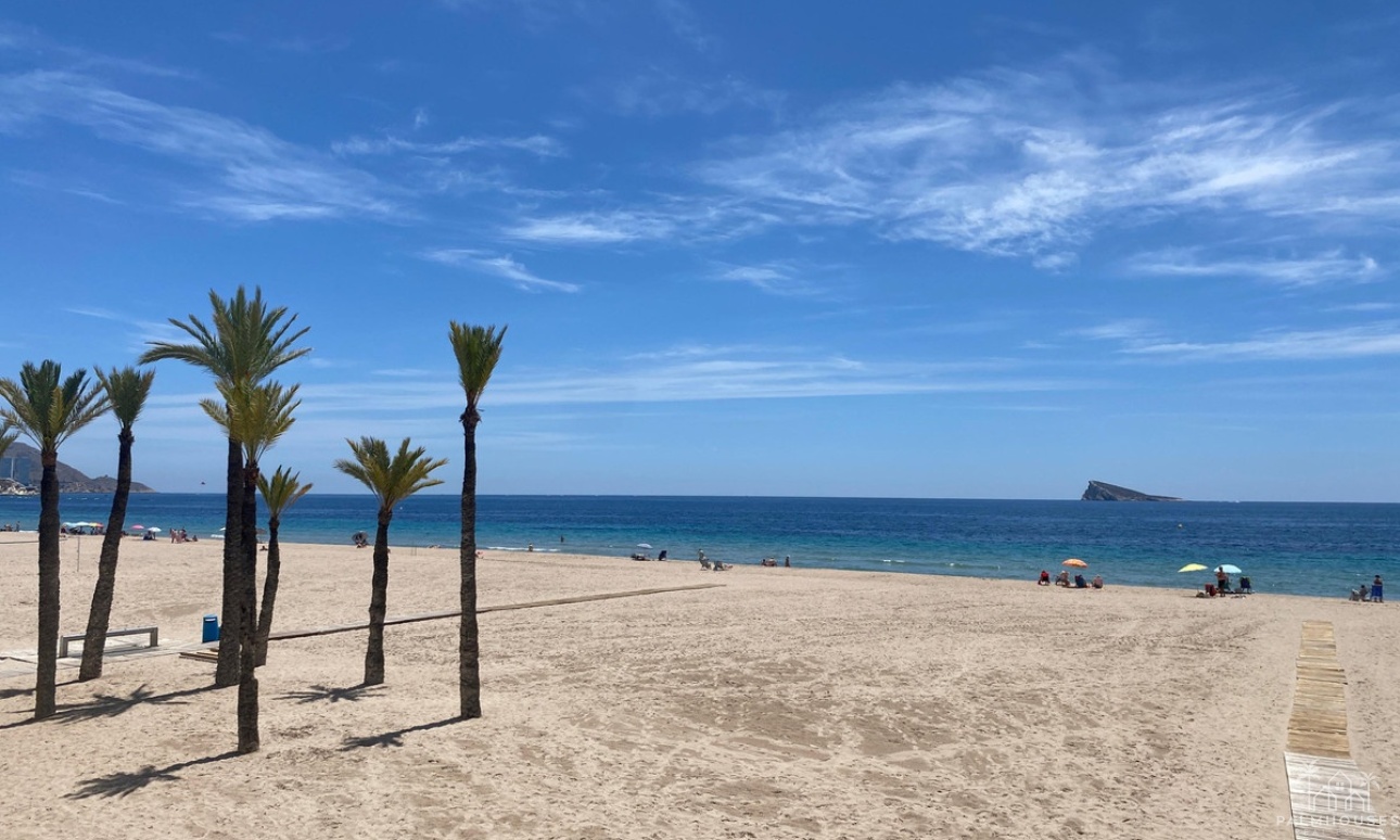 Revente - Apartment - Benidorm - Benidorm Centro