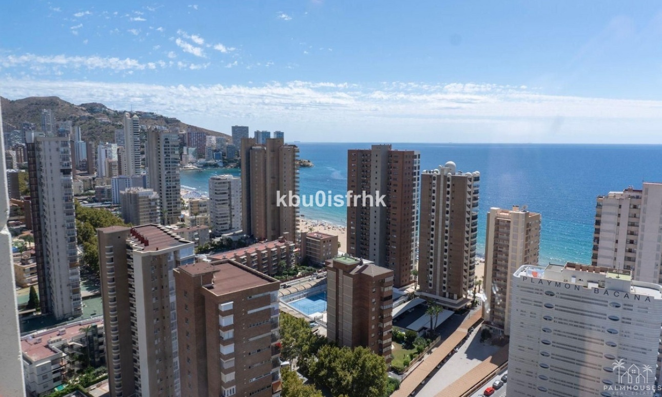 Revente - Apartment - Benidorm - Benidorm Centro