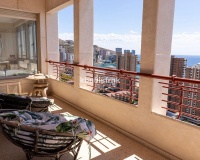 Revente - Apartment - Benidorm - Benidorm Centro