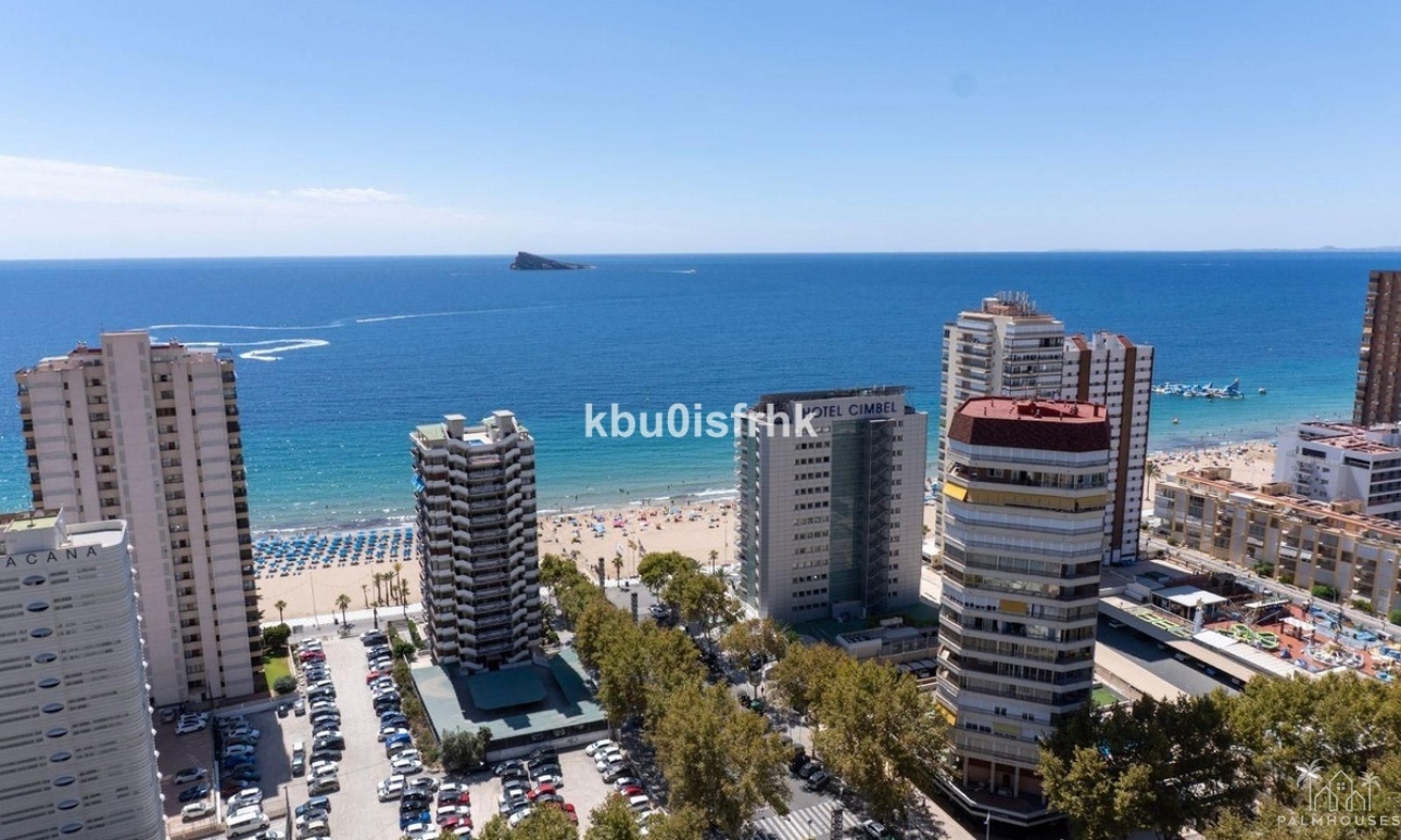 Revente - Apartment - Benidorm - Benidorm Centro