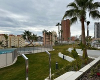 Revente - Apartment - Benidorm - Benidorm Centro