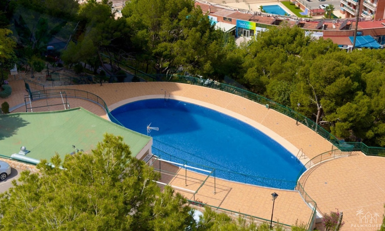 Revente - Apartment - Benidorm - Benidorm Centro