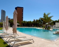 Revente - Apartment - Benidorm - Benidorm Centro