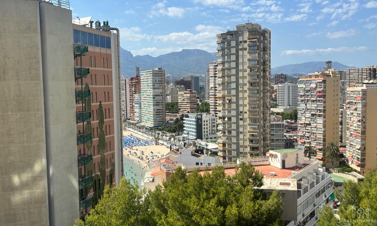 Revente - Apartment - Benidorm - Benidorm Centro