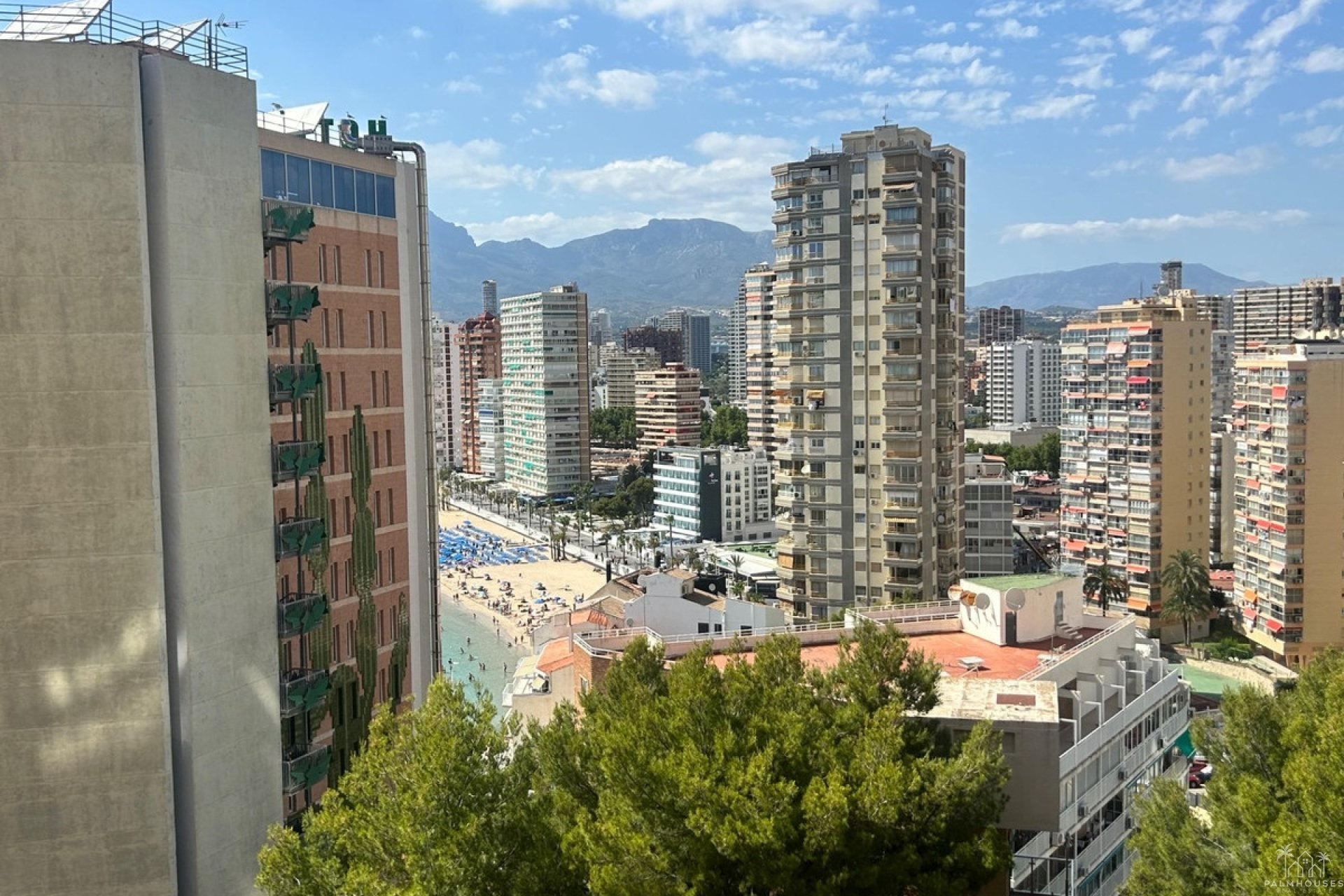 Revente - Apartment - Benidorm - Benidorm Centro