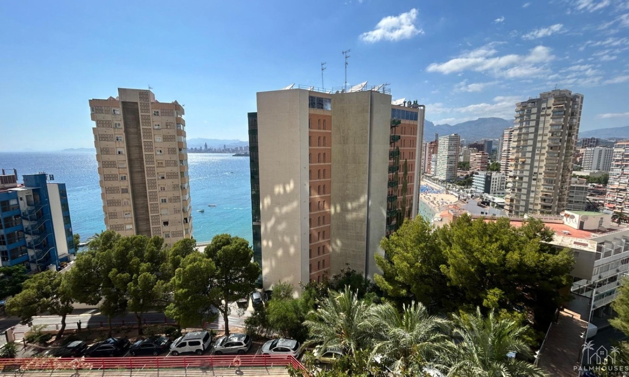 Revente - Apartment - Benidorm - Benidorm Centro