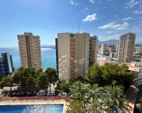 Revente - Apartment - Benidorm - Benidorm Centro