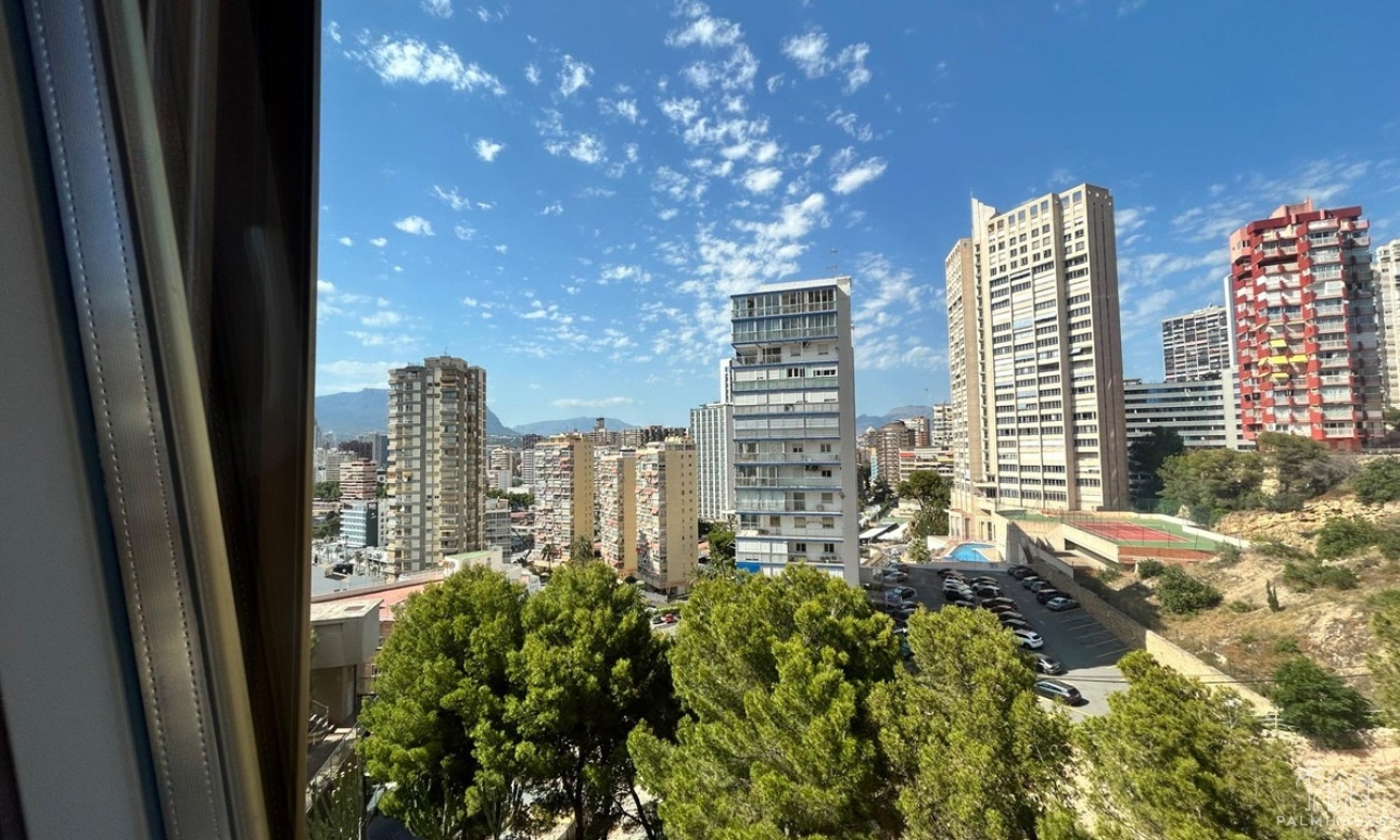 Revente - Apartment - Benidorm - Benidorm Centro