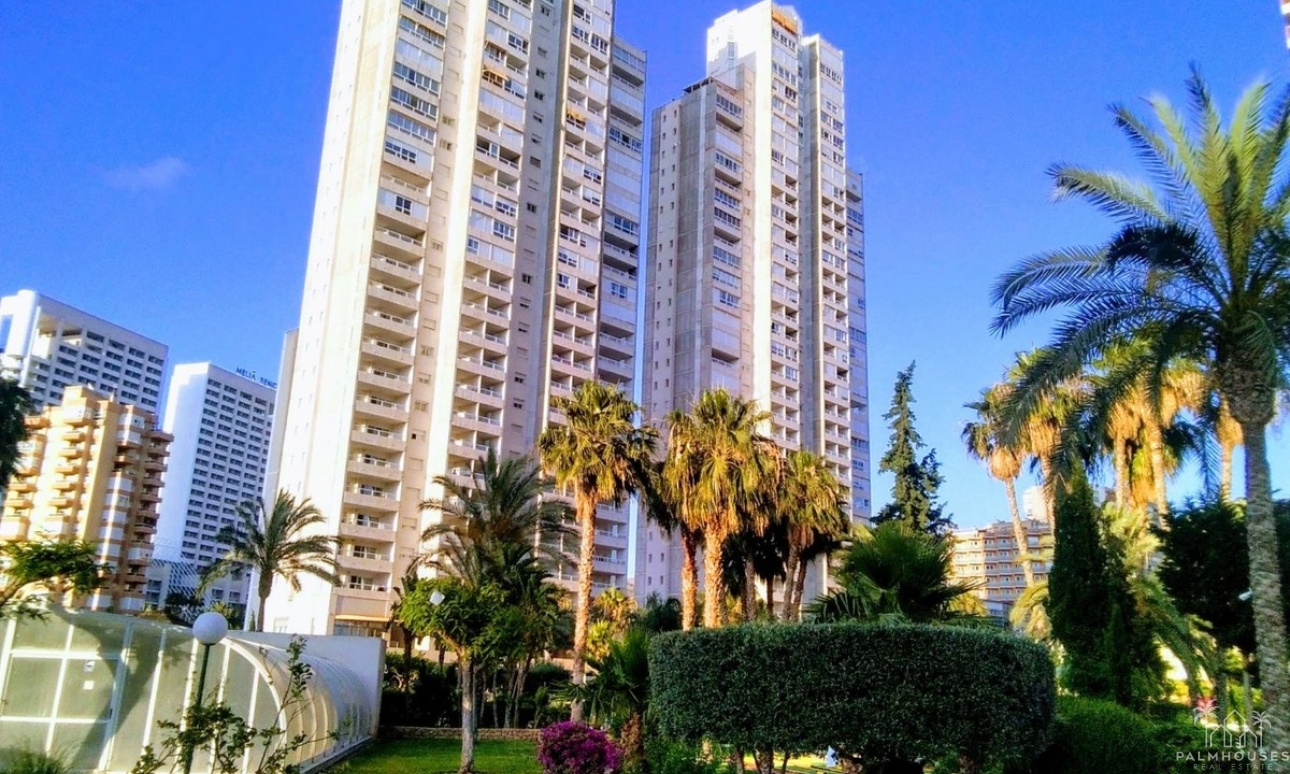 Revente - Apartment - Benidorm - Benidorm Centro