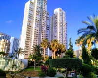 Revente - Apartment - Benidorm - Benidorm Centro
